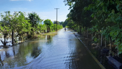 Protección Civil de Villa Comaltitlán atiende afectaciones por desbordamiento de ríos y arroyos