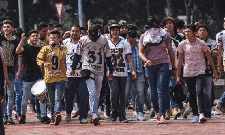 El término "porro" describe a grupos de choque que operan dentro y en las inmediaciones de la Universidad Nacional Autónoma de México (UNAM) y otras instituciones de educación superior en México. Su existencia se remonta a mediados del siglo XX, evolucionando de grupos de animación deportiva a ser utilizados con fines de control político y represión estudiantil.