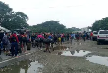 Siguen caminando hacia Tonalá más de 300 migrantes