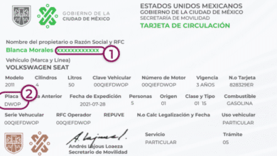 Tarjeta de circulación qué es y por qué es indispensable para tu vehículo