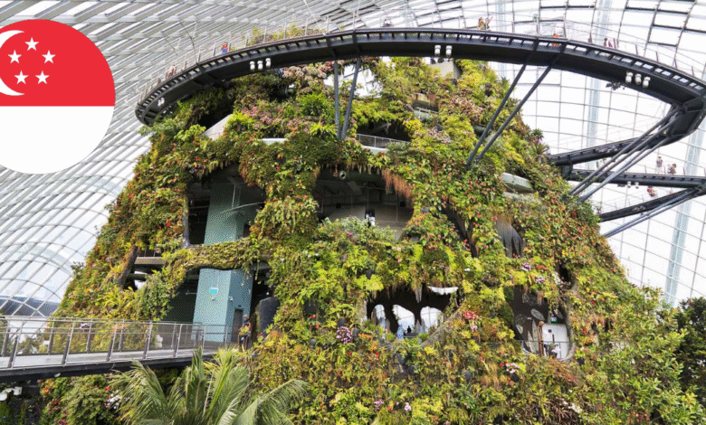 Un paraíso verde en la ciudad La agricultura vertical que transforma a Singapur (Foto por BBVA)