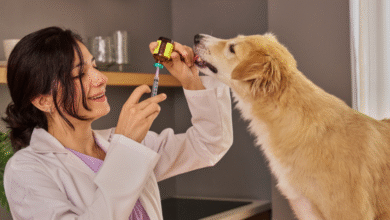 Arranca jornada antirrábica en Tuxtla aplicarán mil vacunas para proteger a mascotas