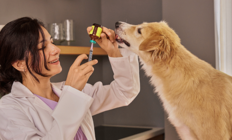 Arranca jornada antirrábica en Tuxtla aplicarán mil vacunas para proteger a mascotas