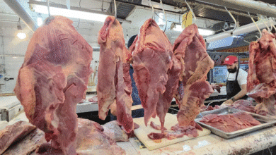 Carne de origen irregular domina mercados de Tapachula y alerta por riesgos sanitarios