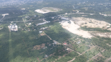 Chiapas avanza en la gestión de residuos para seguridad aérea y protección ambiental