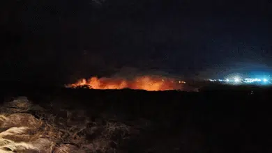 Combaten incendio de pastizal en el libramiento Tapanatepec–Tonalá, en Arriaga, Chiapas