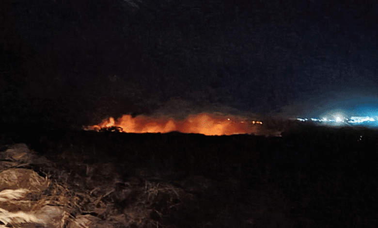 Combaten incendio de pastizal en el libramiento Tapanatepec–Tonalá, en Arriaga, Chiapas