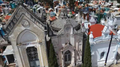 Más de 40 mil visitantes celebran el Día de Muertos en San Cristóbal con saldo blanco