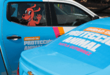 Ponen en marcha Unidad de Protección Animal en Tuxtla Gutiérrez