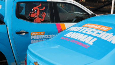 Ponen en marcha Unidad de Protección Animal en Tuxtla Gutiérrez