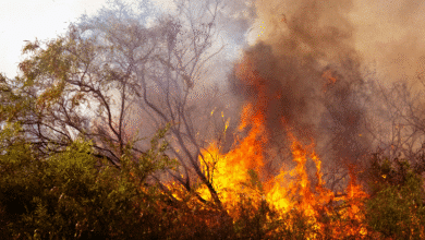 Protección Civil advierte: Chiapas enfrenta una temporada de alto riesgo por incendios; piden responsabilidad familiar y comunitaria