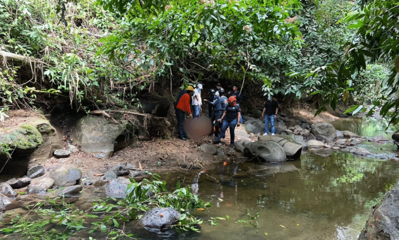 Protección Civil inicia la búsqueda de personas desaparecidas en Palenque