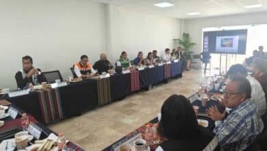 Riesgo Aéreo por Mala Gestión de Basura Municipios Bajo Lupa por Atraer Fauna en Zona de Vuelo