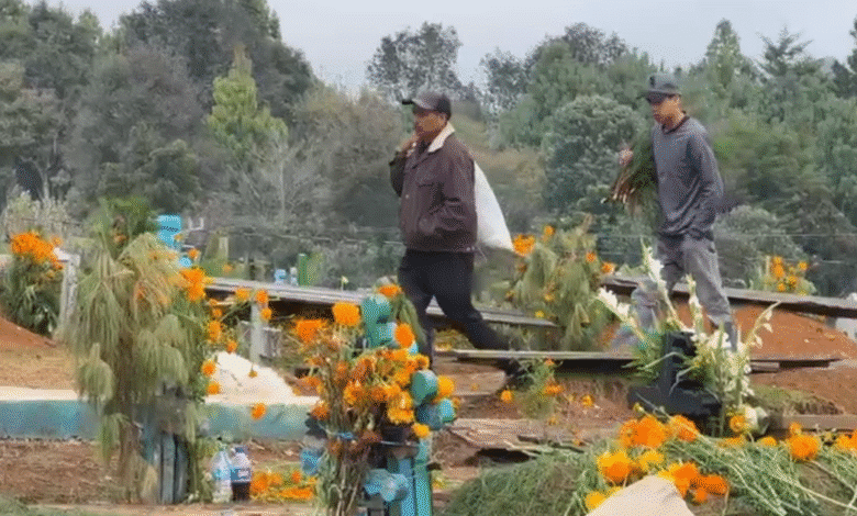 Romerillo celebra el Día de Muertos con tradición y color