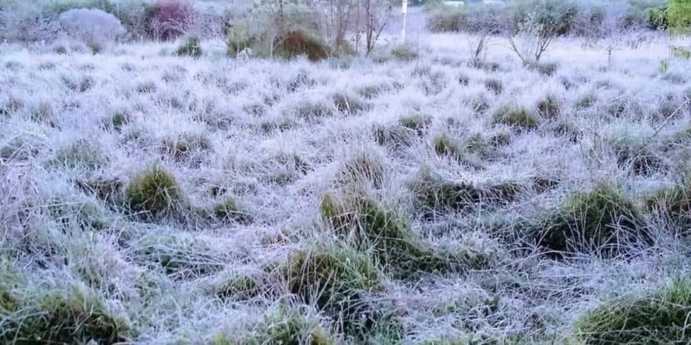 San Cristóbal con helada por Frente Frío N. 12