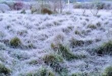 San Cristóbal con helada por Frente Frío N. 12