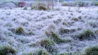 San Cristóbal con helada por Frente Frío N. 12