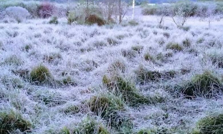 San Cristóbal con helada por Frente Frío N. 12