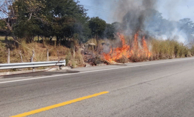 Se realiza quema controlada en Arriaga