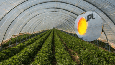 UPL inaugura invernaderos de alta tecnología en México para impulsar cultivos sostenibles 1