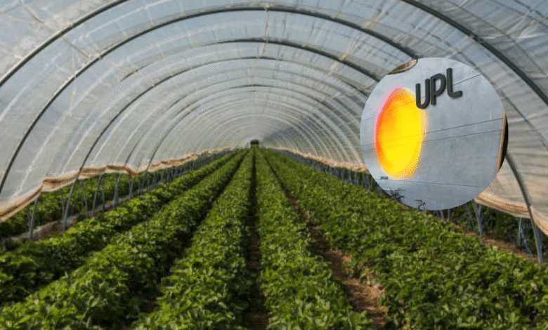 UPL inaugura invernaderos de alta tecnología en México para impulsar cultivos sostenibles 1