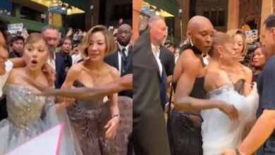 Ariana Grande es atacada por fan, es un conocido creador de contenido (Foto de internet)