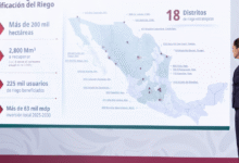 En 2025 se han intervenido 17 Distritos de Riego de los 18 que se contemplan en total hasta el 2030 en beneficio de 225 mil productores que producirán más alimentos con menos agua