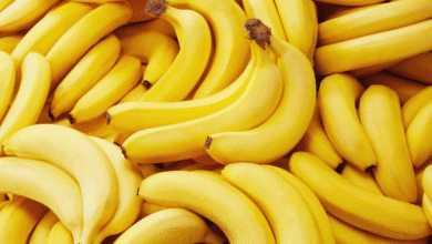 ¿Por qué en Chiapas le dicen “guineo” al plátano