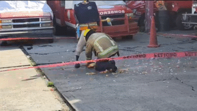 Bomberos llaman a evitar el uso de pirotecnia para prevenir accidentes en temporada navideña