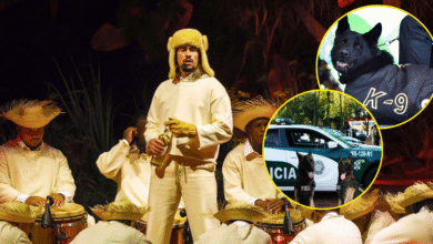 Ellos cuidan los conciertos de Bad Bunny: los perritos guardianes de la CDMX