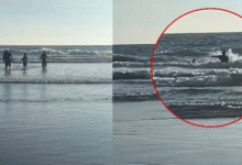 Rescatan a menor arrastrado por corriente de retorno en Puerto Arista (fotos redes)