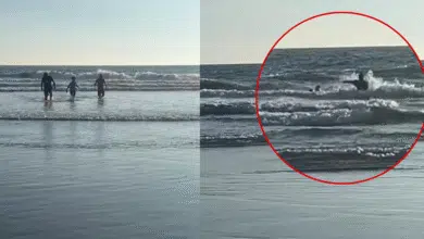 Rescatan a menor arrastrado por corriente de retorno en Puerto Arista (fotos redes)