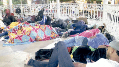 Navidad migrante, llenade nostalgia y esperanza