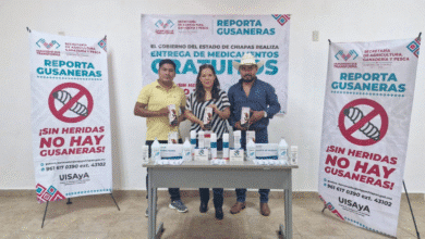 Crecen los casos de miasis humana