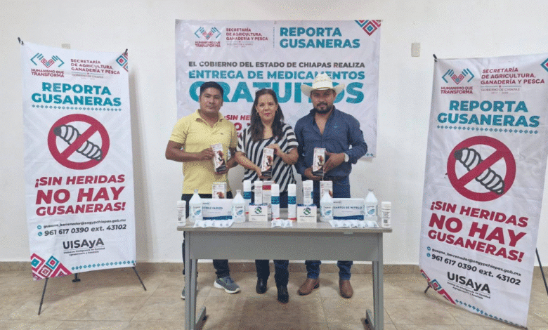 Crecen los casos de miasis humana