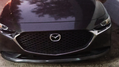 Detienen FGR y SSP a 12 presuntos integrantes del CJNG por delitos contra la salud y violación a la Ley Federal de Armas