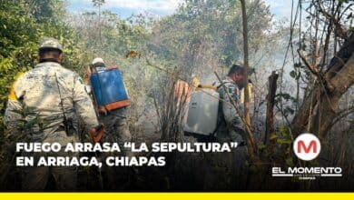 Fuego arrasa “La Sepultura” en Arriaga, Chiapas