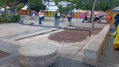 Fuertes vientos desplazan árbol navideño en el Parque Central en Tuxtla