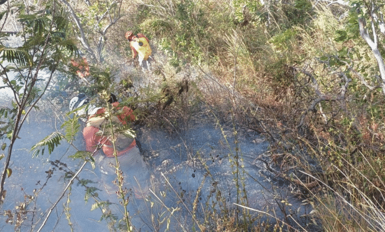 Incendio forestal liquidado al 100 % en Arriaga