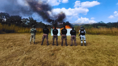 Incineran más de 98 kilos de droga y destruye más de 42 mil objetos del delito en Chiapas