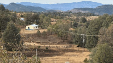 Justicia energética en acción la CFE desarrolla proyectos para llevar electricidad a quienes más la necesitan en el corazón de la Sierra Madre Occidental