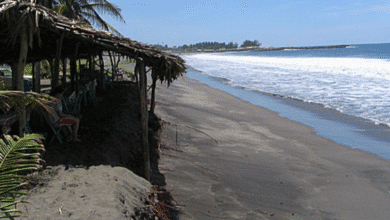 Monitorean calidad del agua en Puerto Madero para detectar toxinas y garantizar consumo seguro