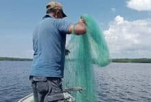 Pescadores de Chiapas enfrentan pérdidas por cierre de navegación