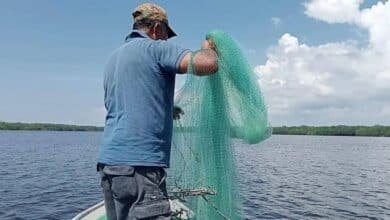 Pescadores de Chiapas enfrentan pérdidas por cierre de navegación