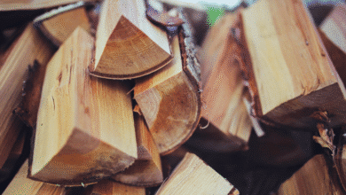 Productores de Chiapas alertan por crisis en el sector maderero ante exceso de importaciones