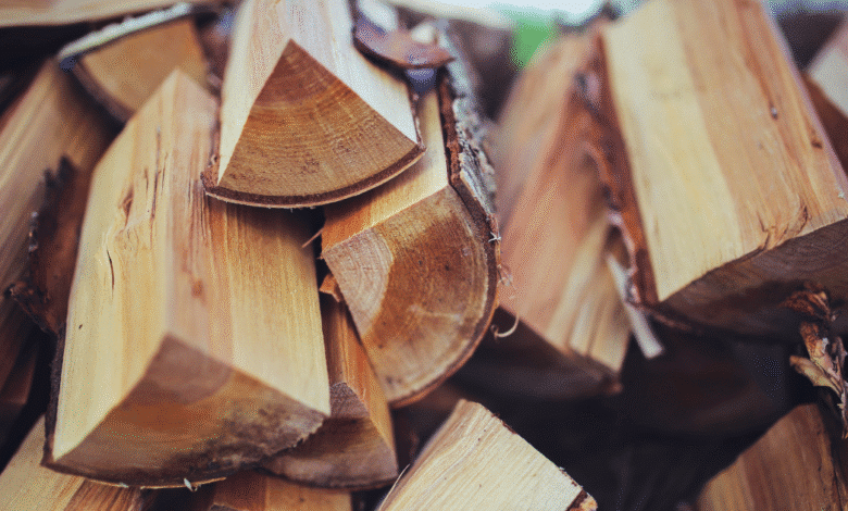 Productores de Chiapas alertan por crisis en el sector maderero ante exceso de importaciones