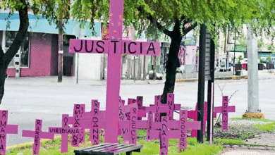 La violencia feminicida en el estado se mantiene sin reducción respecto a 2024, mientras crecen las denuncias por agresiones psicológicas y económicas, alertan organizaciones civiles