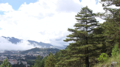 Segunda helada sorprende a San Cristóbal con temperaturas de hasta 1°C