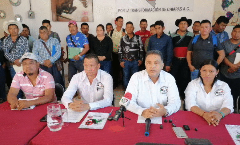 Transportistas denuncian persecución y abuso de autoridad en Las Margaritas