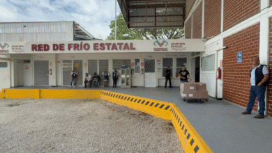 Vacunación masiva contra sarampión y enfermedades invernales tiene respuesta histórica en Chiapas